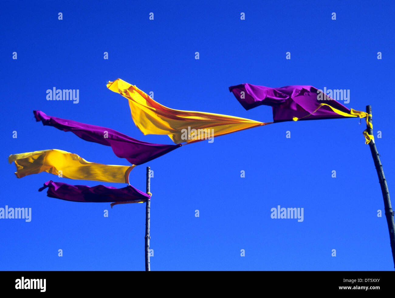 Solstice Festival, Aspatria, Cumbria, UK 2005 Purple and yellow flags