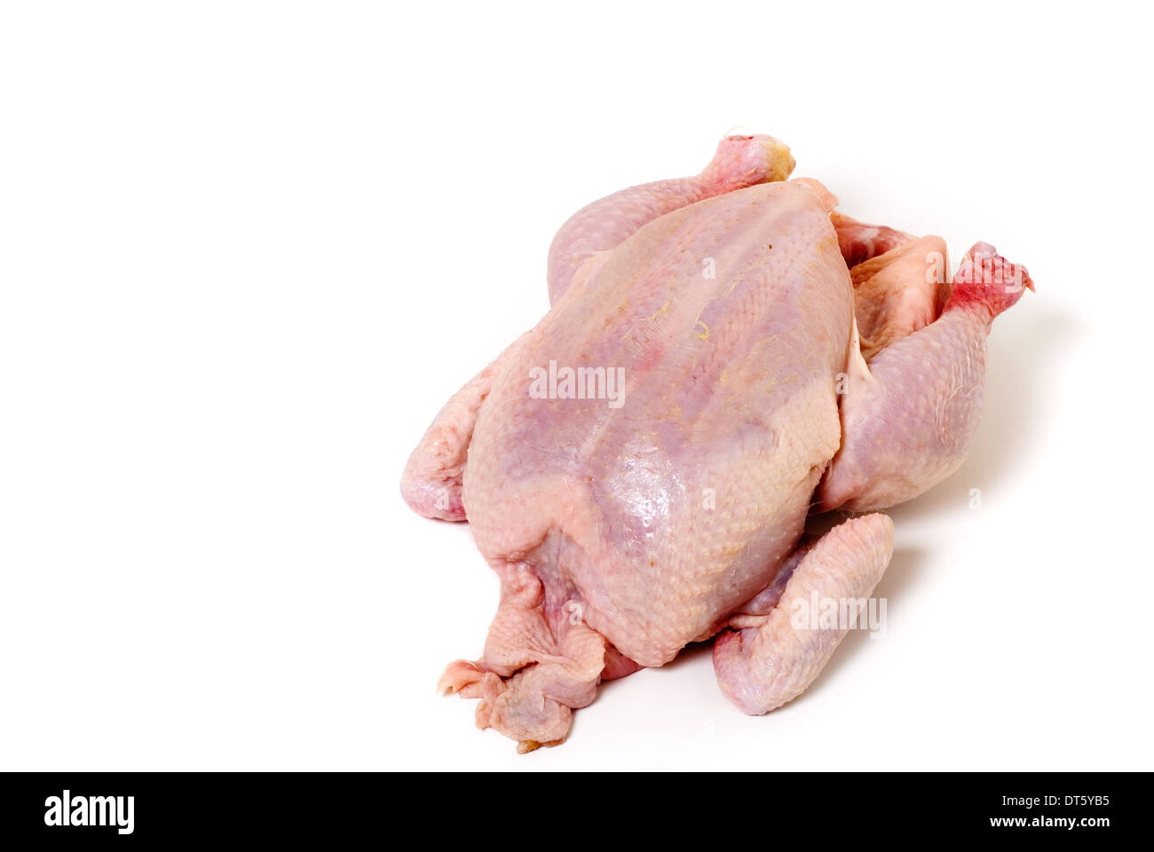 Raw whole chicken on white background cut out Stock Photo Alamy
