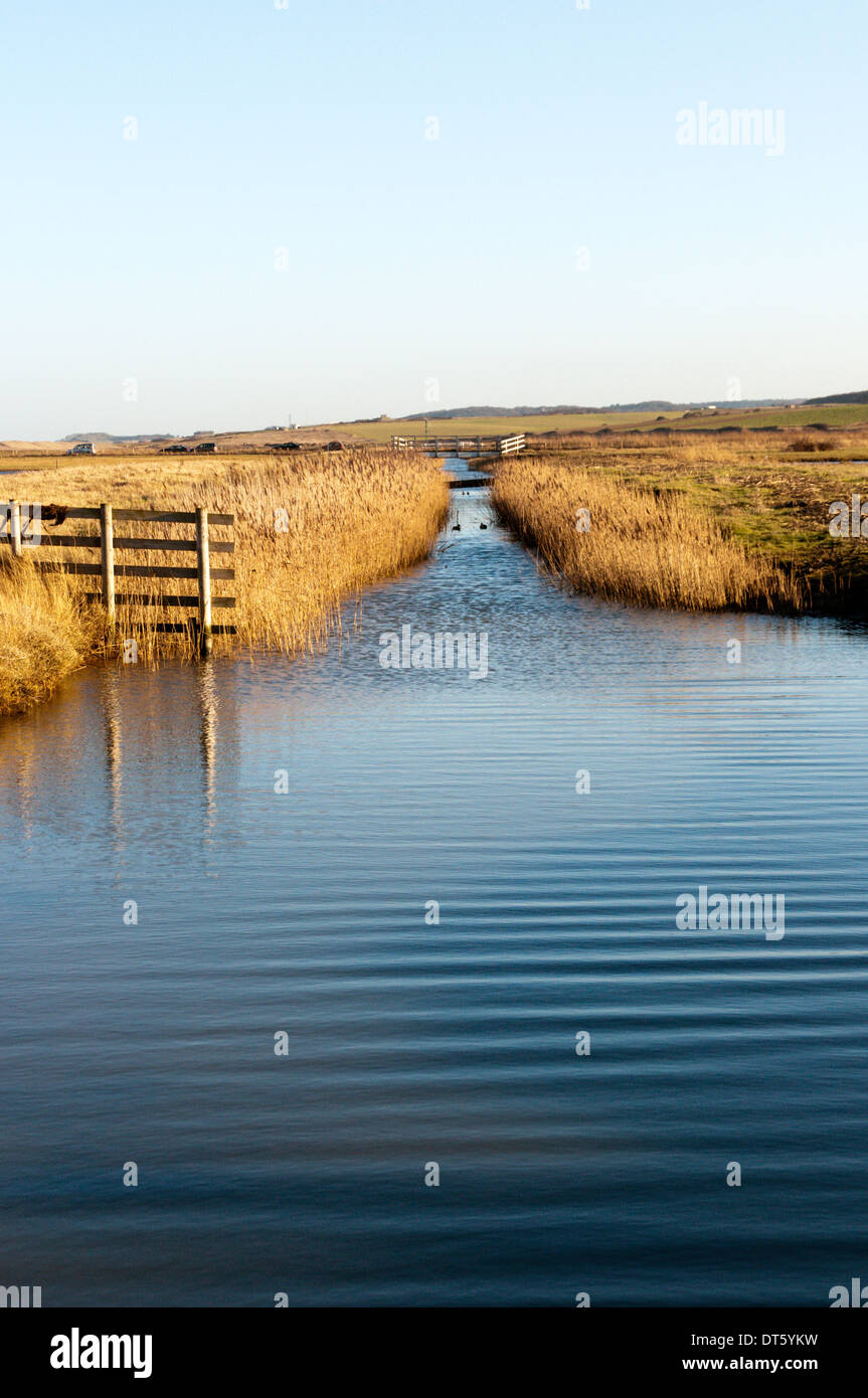 Salthouse Marshes near Cley on the North Norfolk coast. Stock Photo