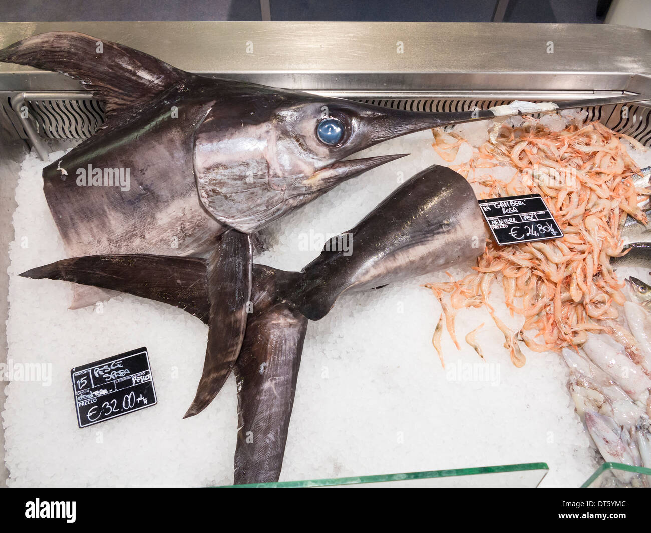 Swordfish hires stock photography and images Alamy