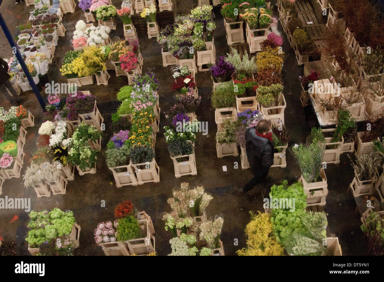 London UK. 10th February 2014. Wholesale market vendors sell flowers in New Covent Garden Flower Market stocking a wide range of flowers and plants in the week  running up to St Valentines Day. The British people  spend  more than 50 million pounds on flowers for Valentines Credit:  amer ghazzal/Alamy Live News Stock Photo
