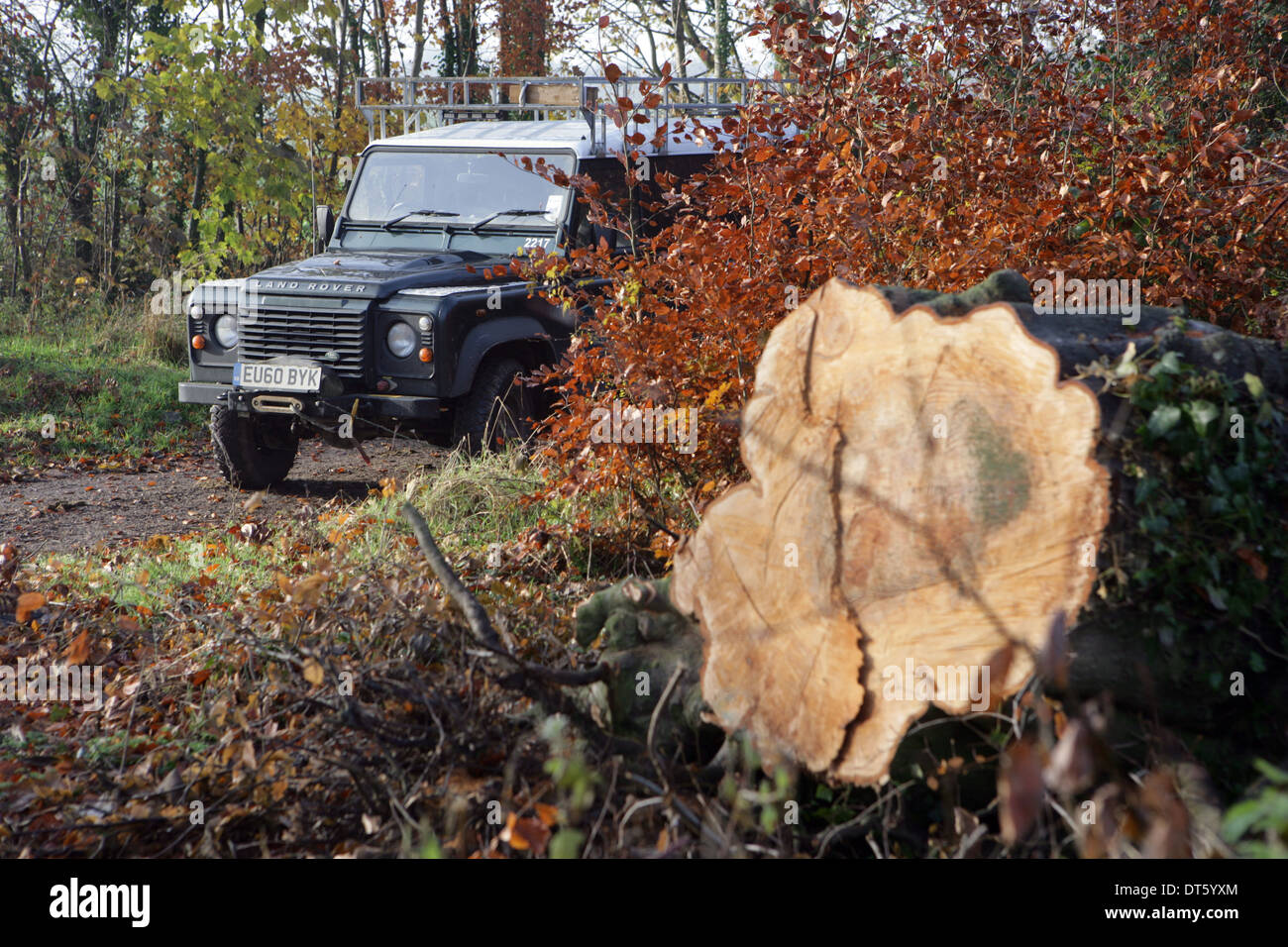 Land Rover Defender owned by a Wiltshire Byways Ranger beside recently cut timber following a storm in late 2013 near Wilton UK Stock Photo
