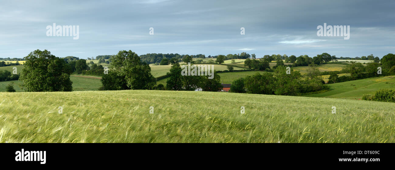 Rolling Countryside. Northamptonshire. England. UK. Stock Photo