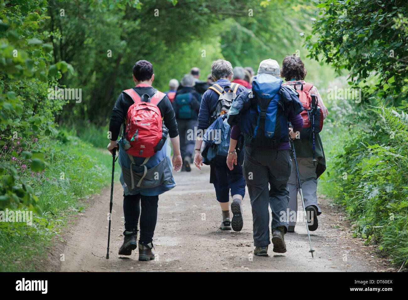 Walkers on the Winchcombe Way, Cotswolds, UK Stock Photo