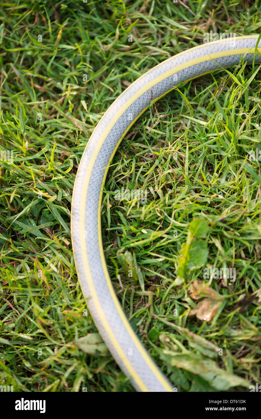 Close up of garden hose on green grass Stock Photo