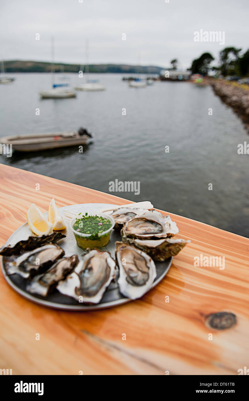 Fresh oysters and harbor, Point Reyes, California, USA Stock Photo Alamy