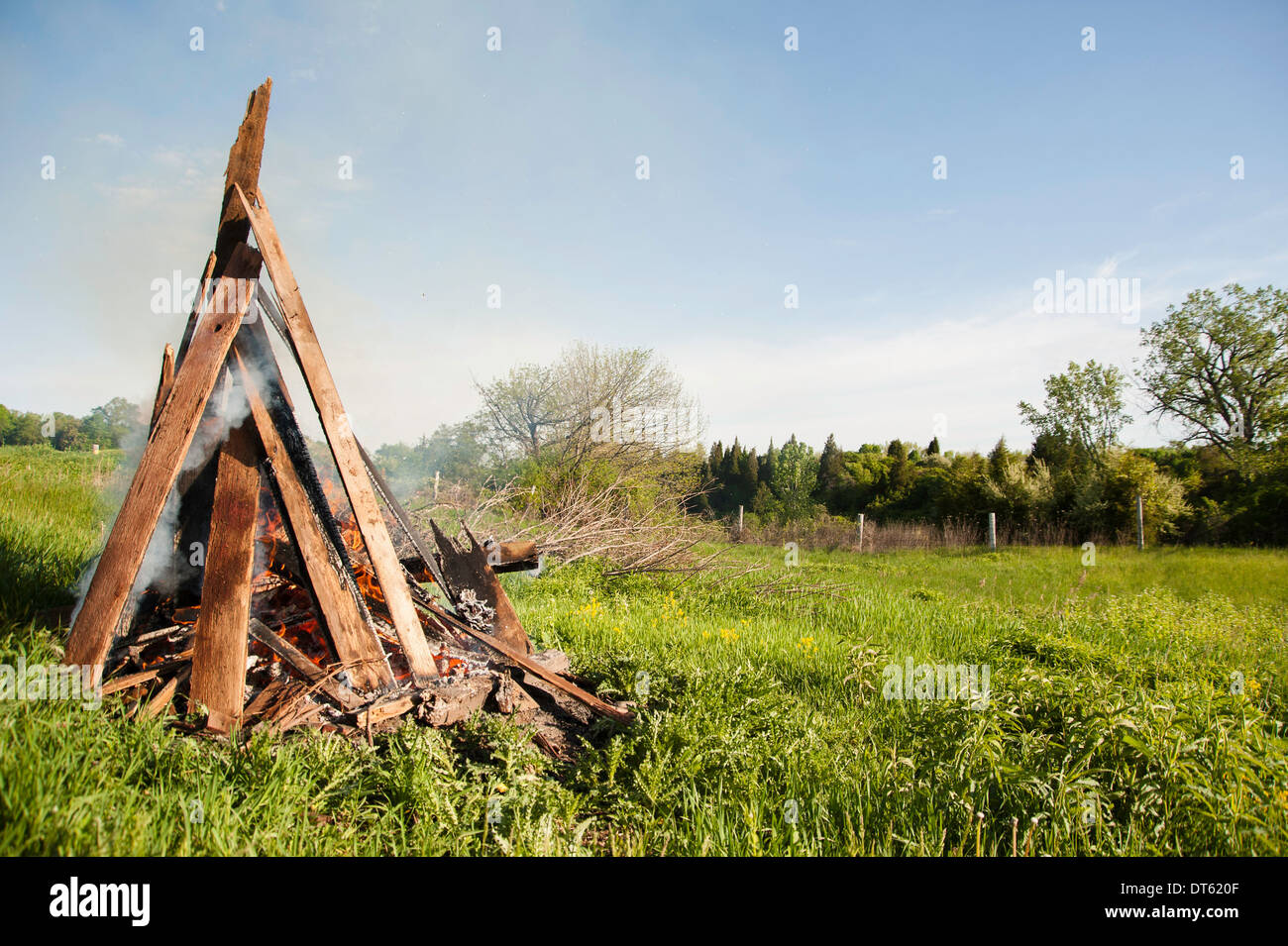Burning wood fire in green field Stock Photo