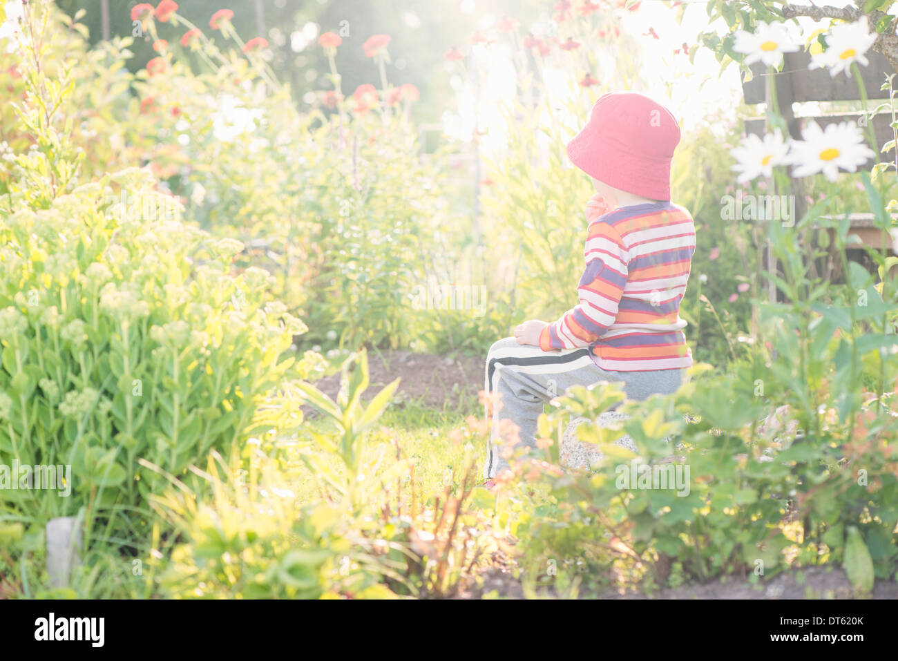 Tranquil summer scene. Young girl sitting in garden, watching plants and flowers. Stock Photo