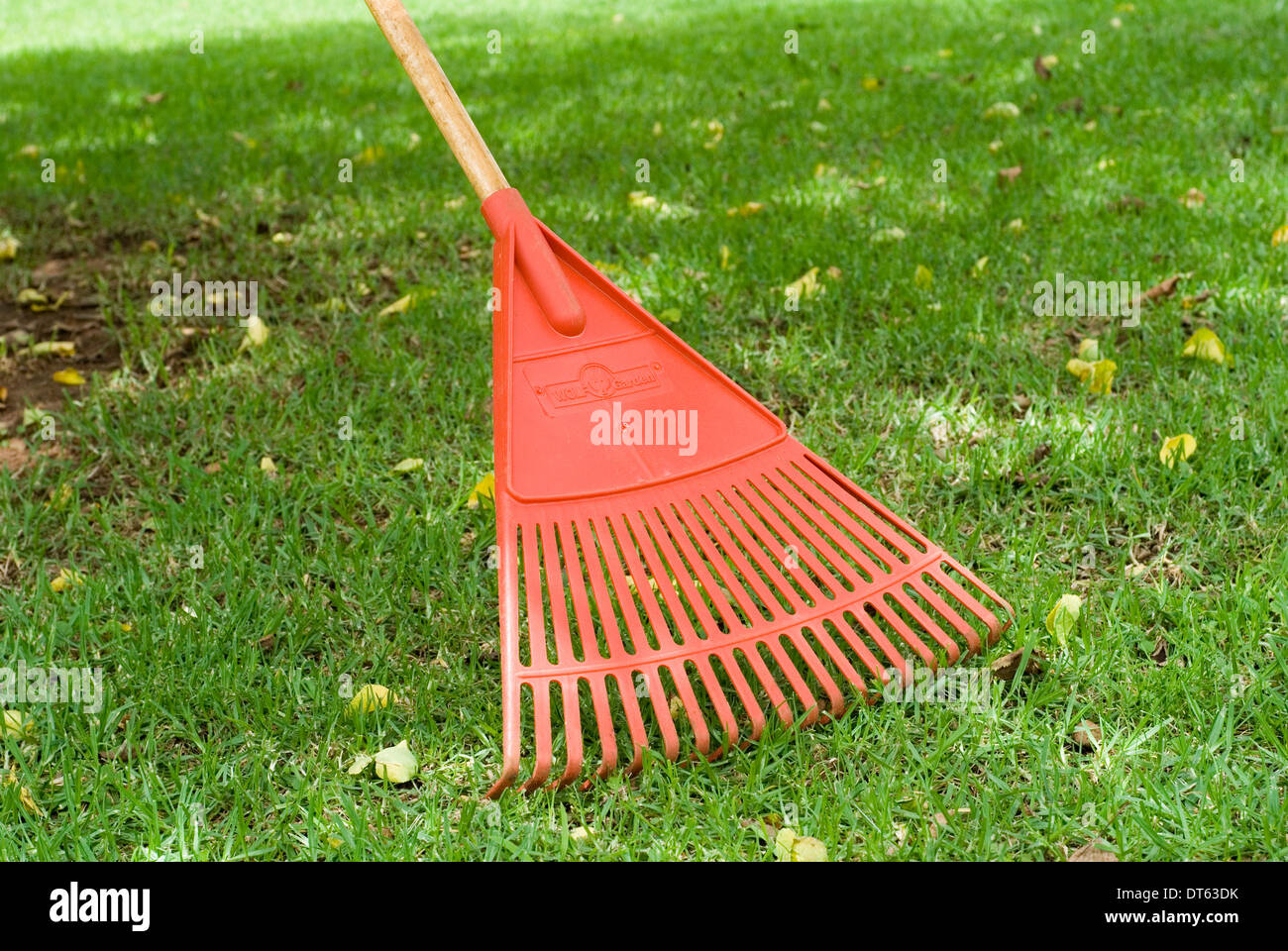 Bright orange rake head close up on a green grass lawn. Stock Photo