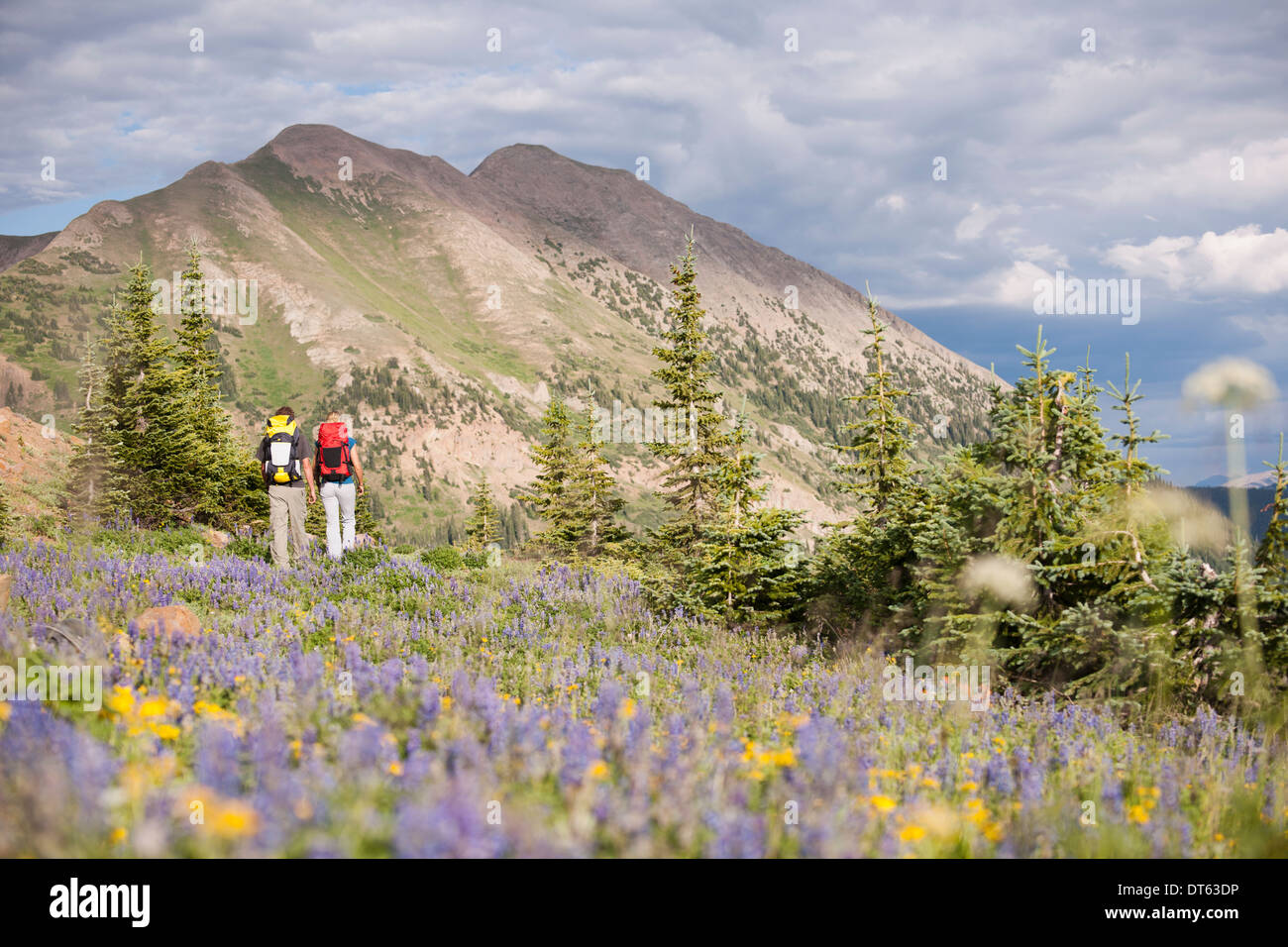 403 people hi-res stock photography and images - Alamy