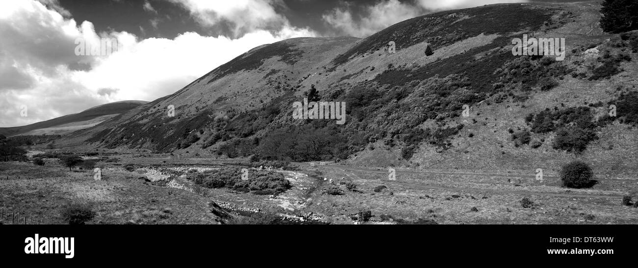 Blackseat Hill, Scald Hill, The Cheviot Hills, Northumberland National Park, Northumbria County, England, UK Stock Photo