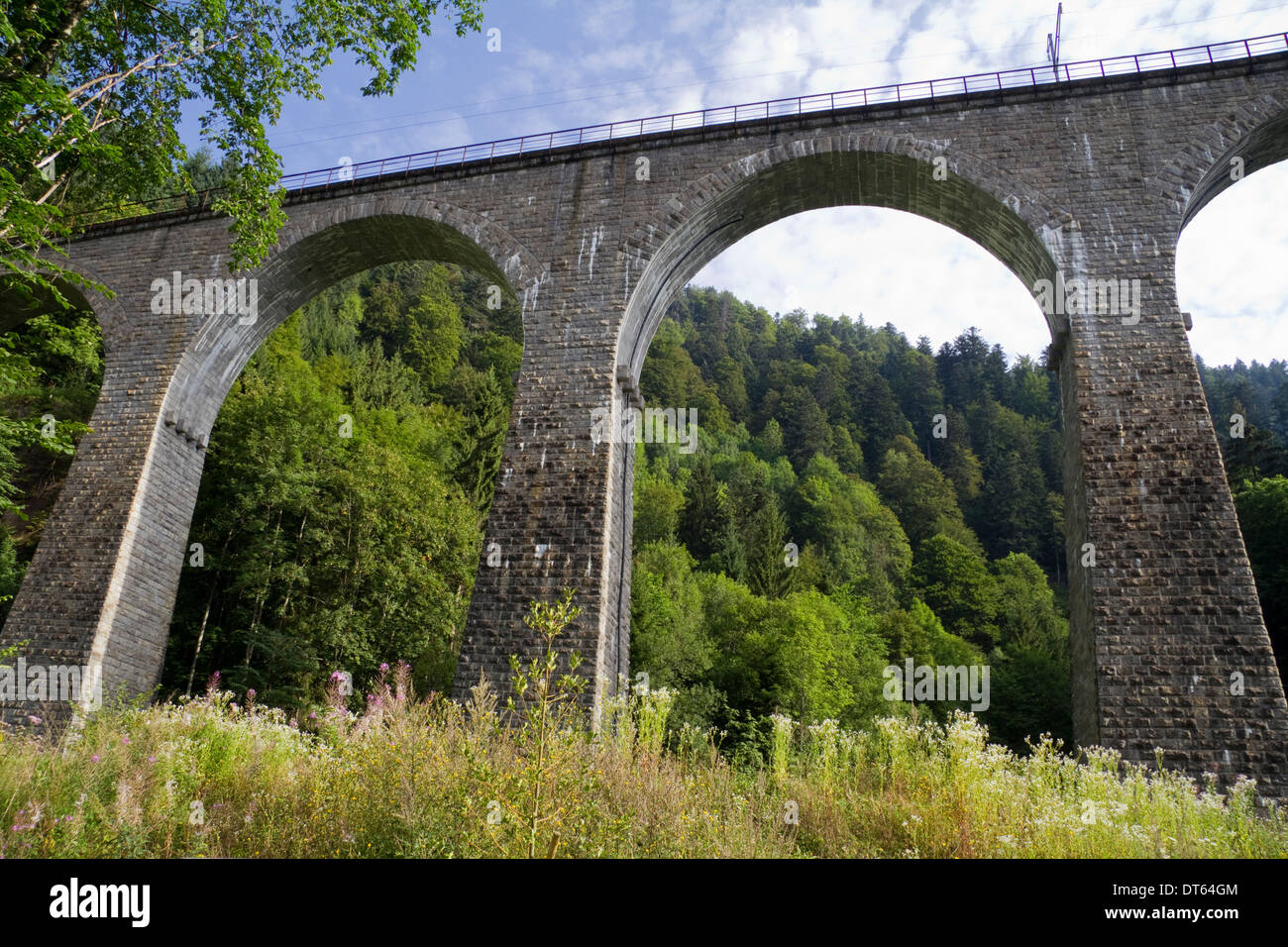 Old bridge in Breitnau near Freiburg in the Black Forest, Germany Stock Photo