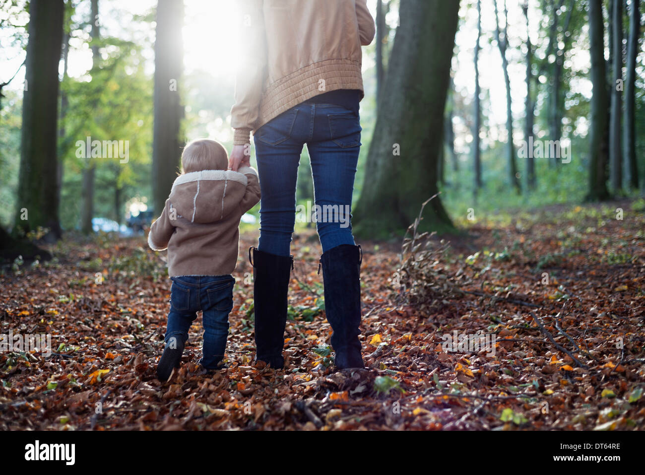 Mother and male toddler walking in woodland Stock Photo