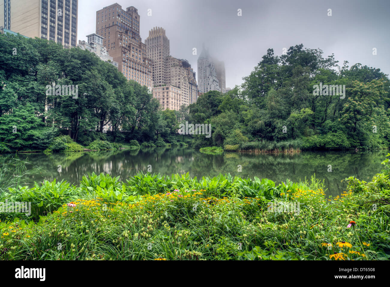 Foggy day in the city hi-res stock photography and images - Alamy