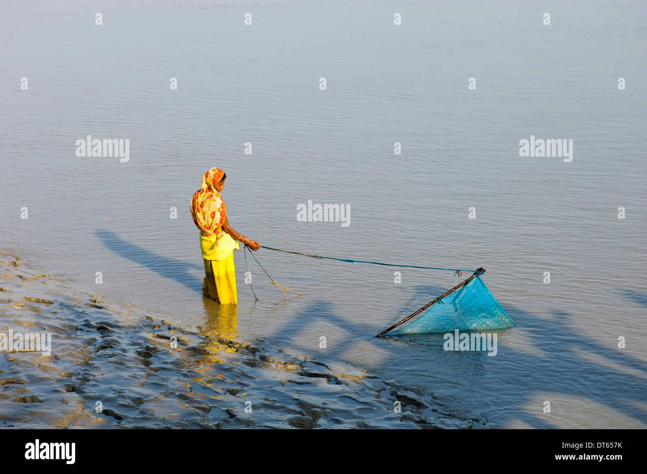 Netting for shrimps hi-res stock photography and images - Alamy