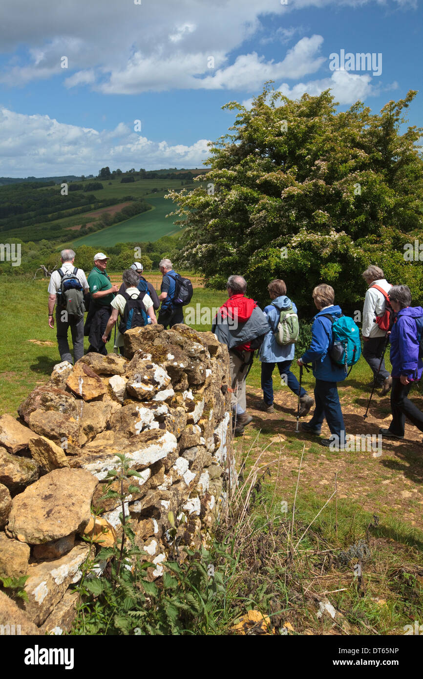 Walkers on the Winchcombe Way during the walking festival, Cotswolds, UK Stock Photo