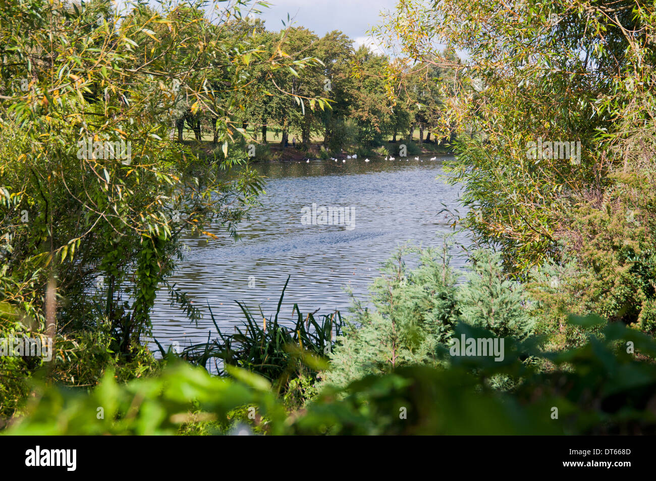 Lake in Brookvale Park Erdington, Birmingham Stock Photo Alamy