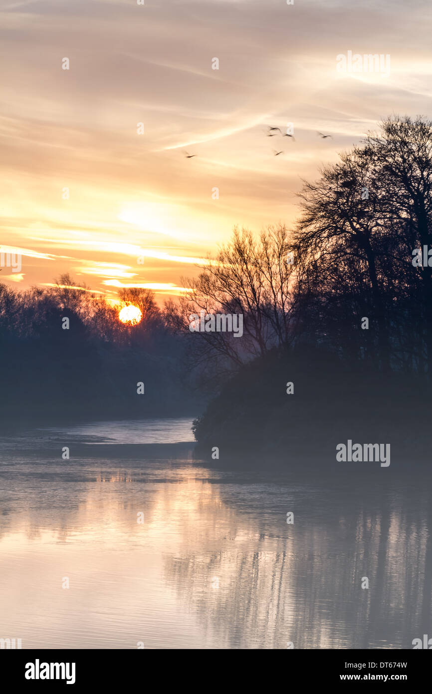 Morning misty lake scene with trees and birds Stock Photo - Alamy