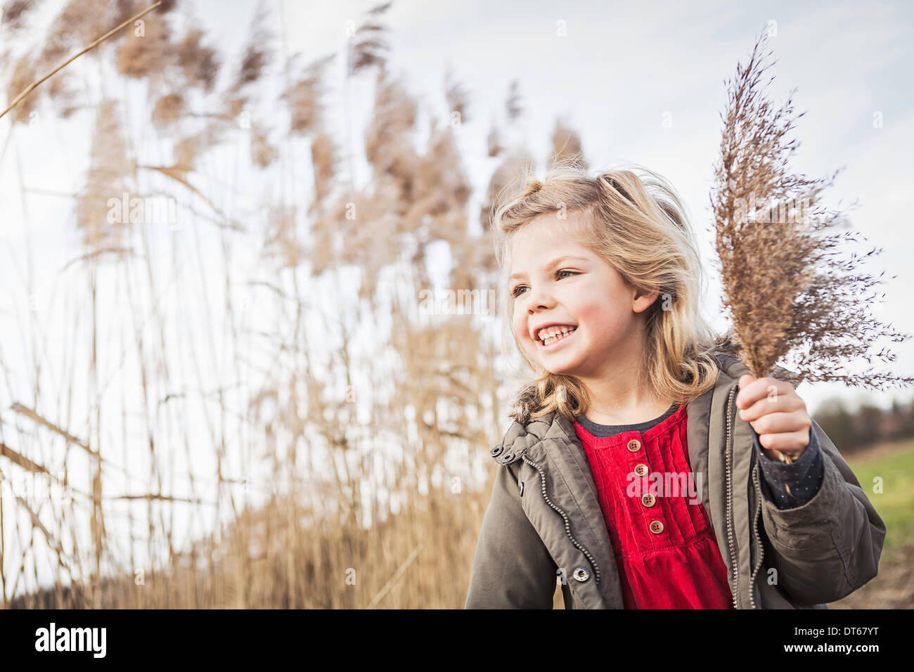 Young girl collecting marsh grasses Stock Photo