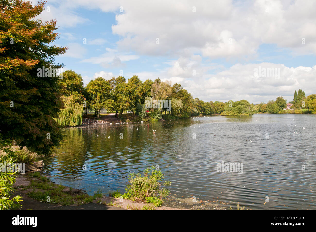 Lake in Brookvale Park Erdington, Birmingham Stock Photo 66520957 Alamy