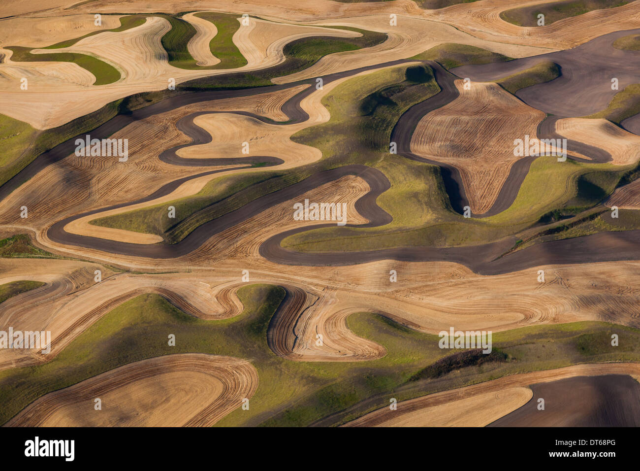 Farmland landscape, with ploughed fields and furrows in Palouse, Washington, USA. An aerial view with natural patterns. Stock Photo