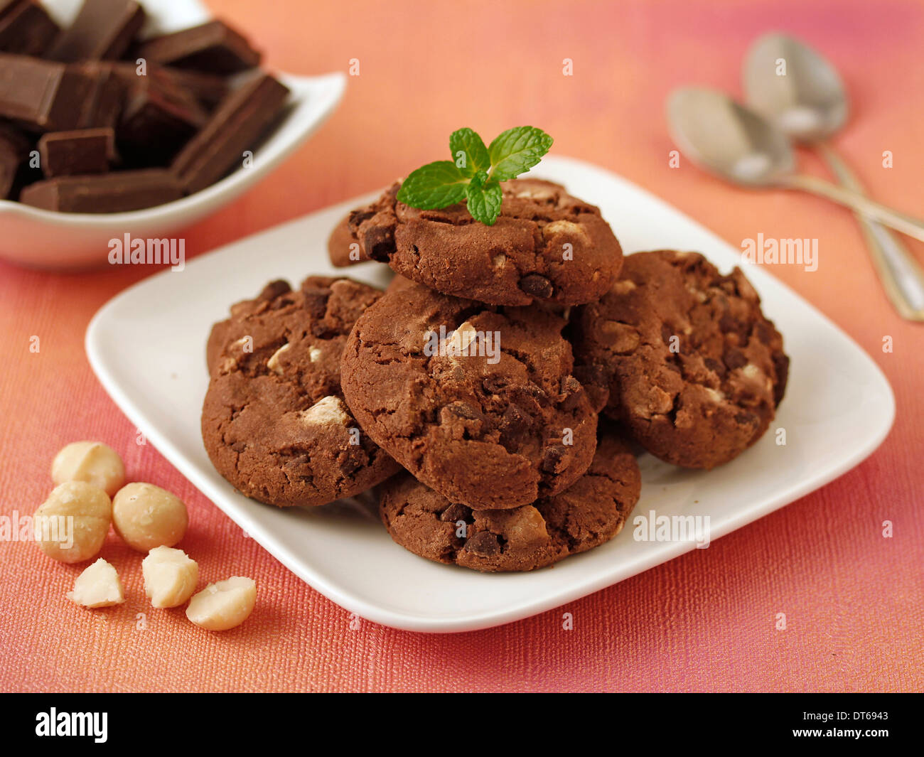 Chocolate cookies with macadamia nuts. Recipe available. Stock Photo