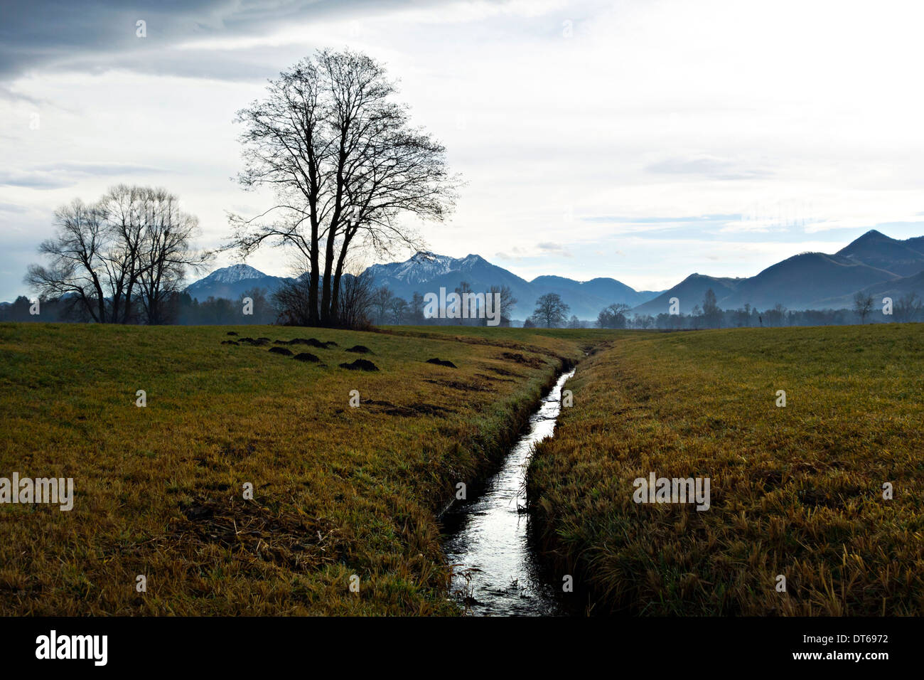 Bavarian Alps seen from farmland, Chiemgau, Upper Bavaria, Germany Europe Stock Photo Alamy
