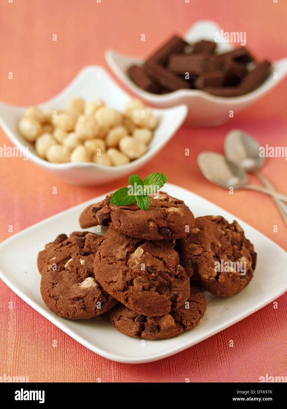 Chocolate cookies with macadamia nuts. Recipe available. Stock Photo