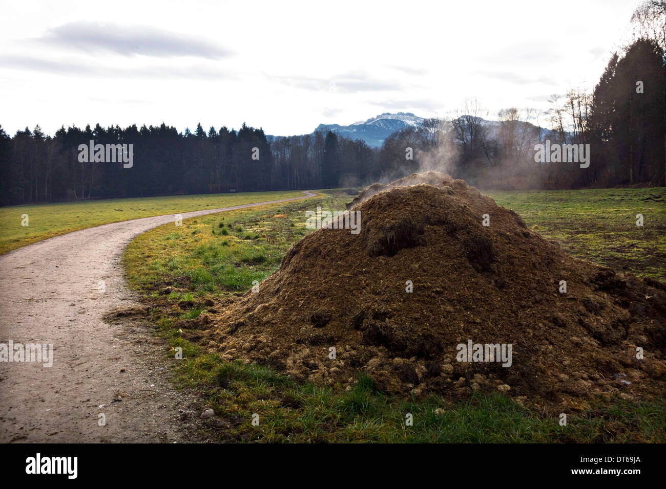 Methane gas escaping from stockpile of cow manure and waste, Chiemgau