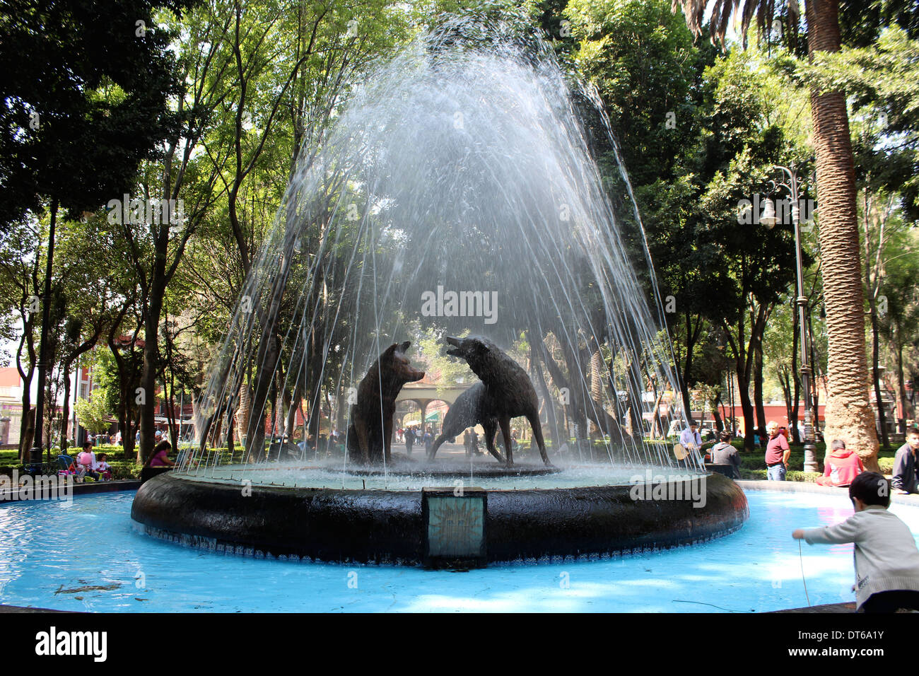Coyotes fountain in Coyoacan, Mexico City Stock Photo