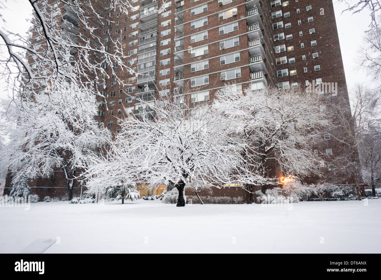 Heavy wet snow sticks to the branches of trees in the Chelsea