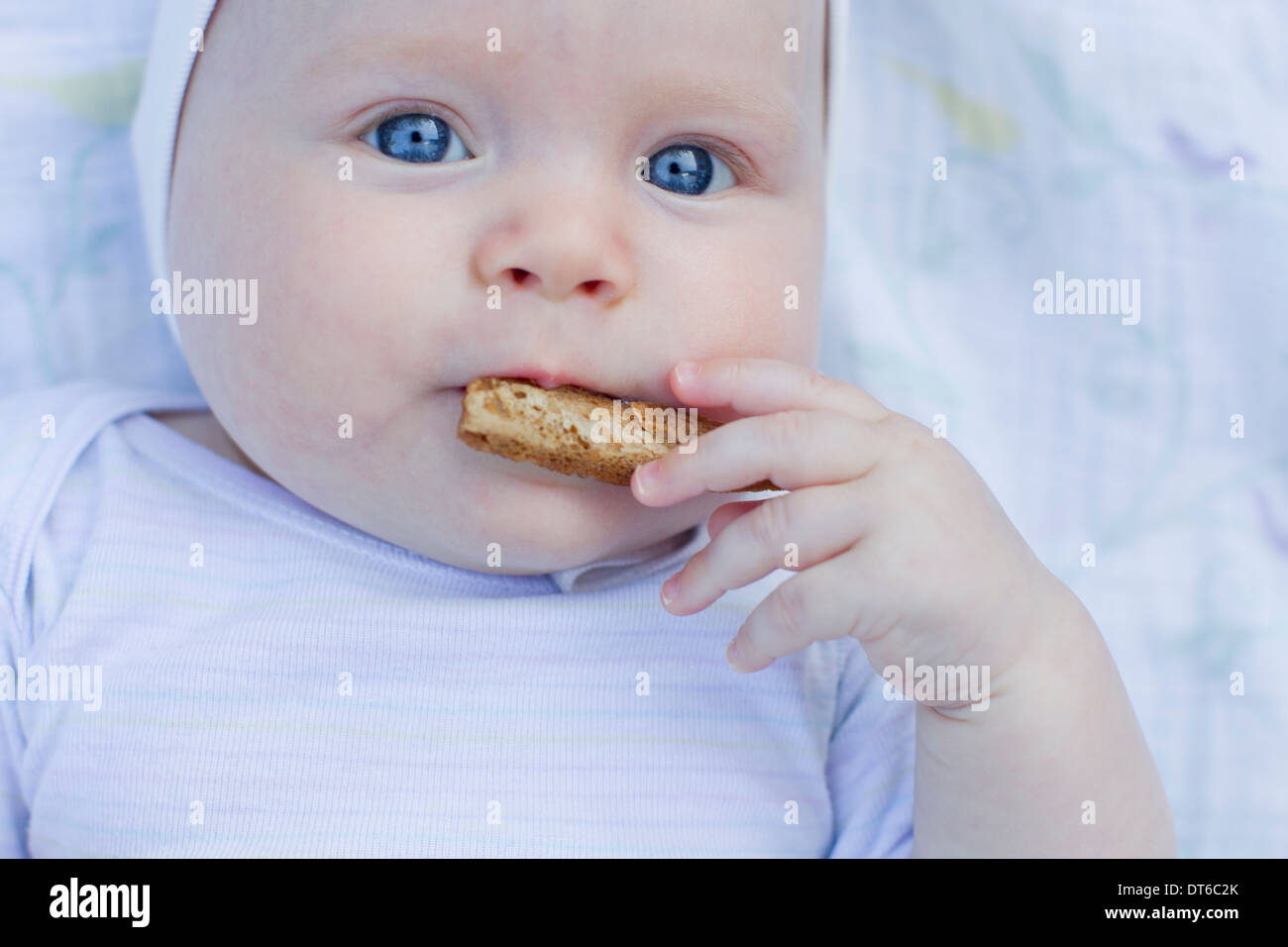 Baby girl eating cracker Stock Photo Alamy