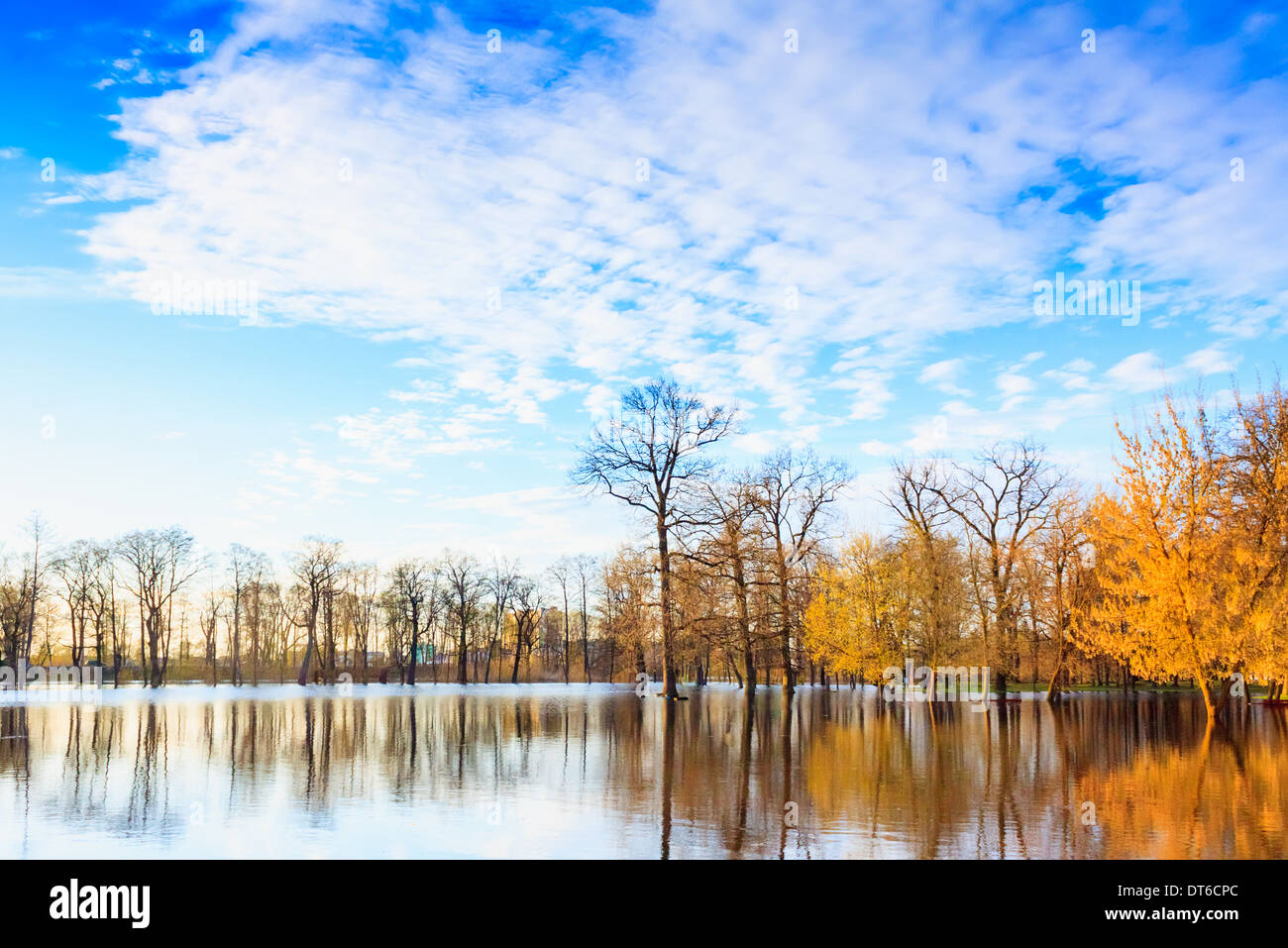 Spring Landscape With Flooded Trees. Russian Nature Stock Photo - Alamy