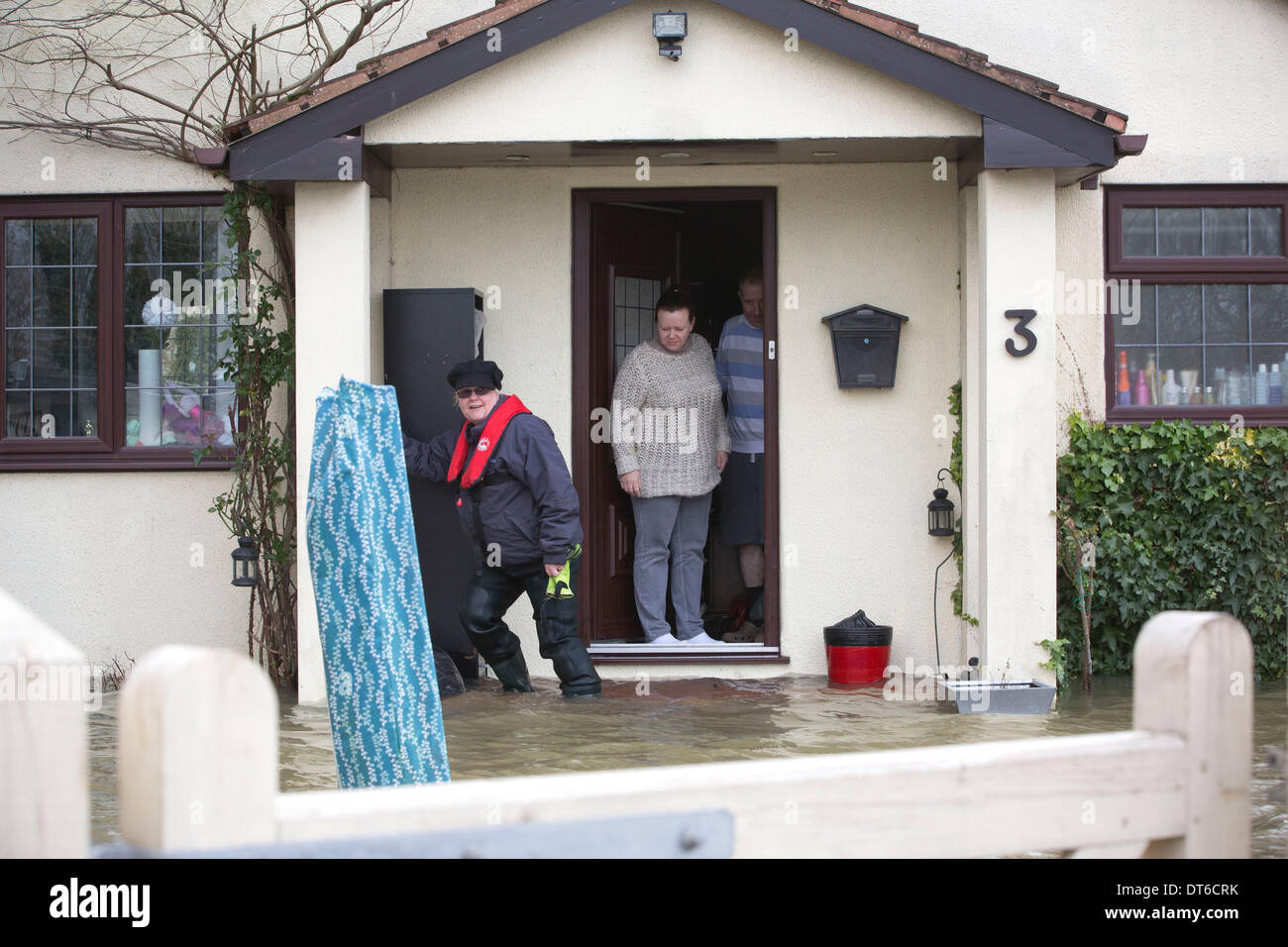 Shepperton, Greater London, UK. 9th Feb, 2014.  Jenny Beagle (walking in water) visits residents Penny and Christopher Holden, who live on the flooded streets in the town of Shepperton, located in the borough of Spelthorne, Greater London. Credit:  Jeff Gilbert/Alamy Live News Stock Photo