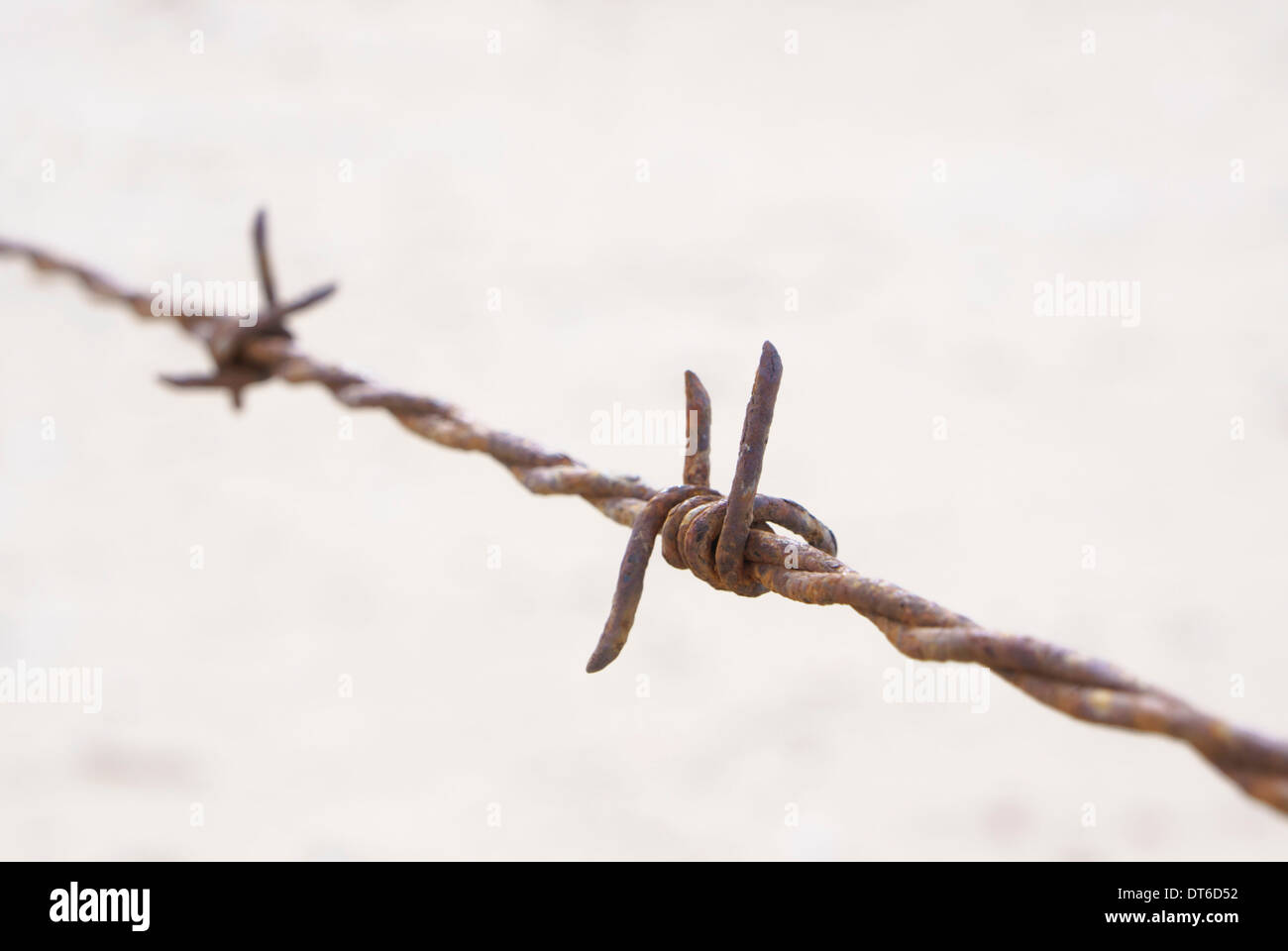 Close up detail of rusty barbed wire Stock Photo