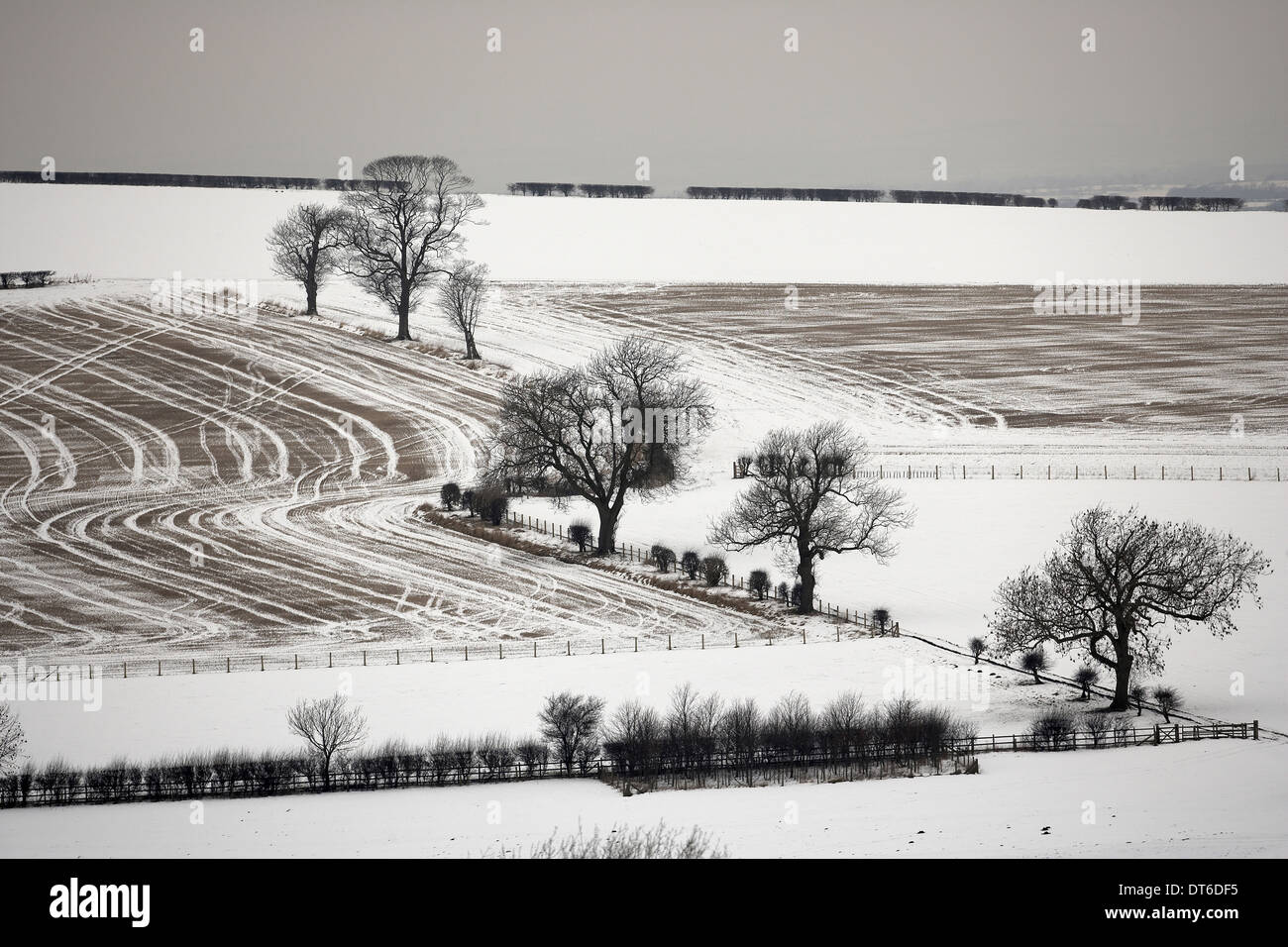 Snow covered farming landscape of the East Yorkshire Wolds near Wharram Percy Stock Photo