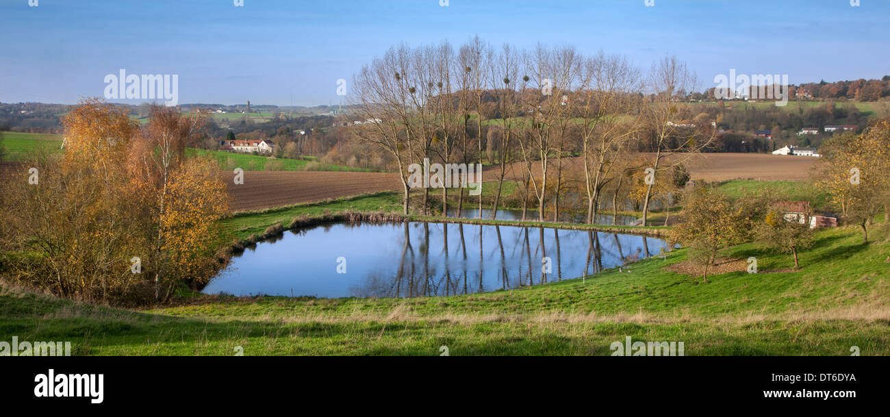 Agricultural landscape showing pond on farmland in rural Walloon Brabant, Wallonia, Belgium Stock Photo