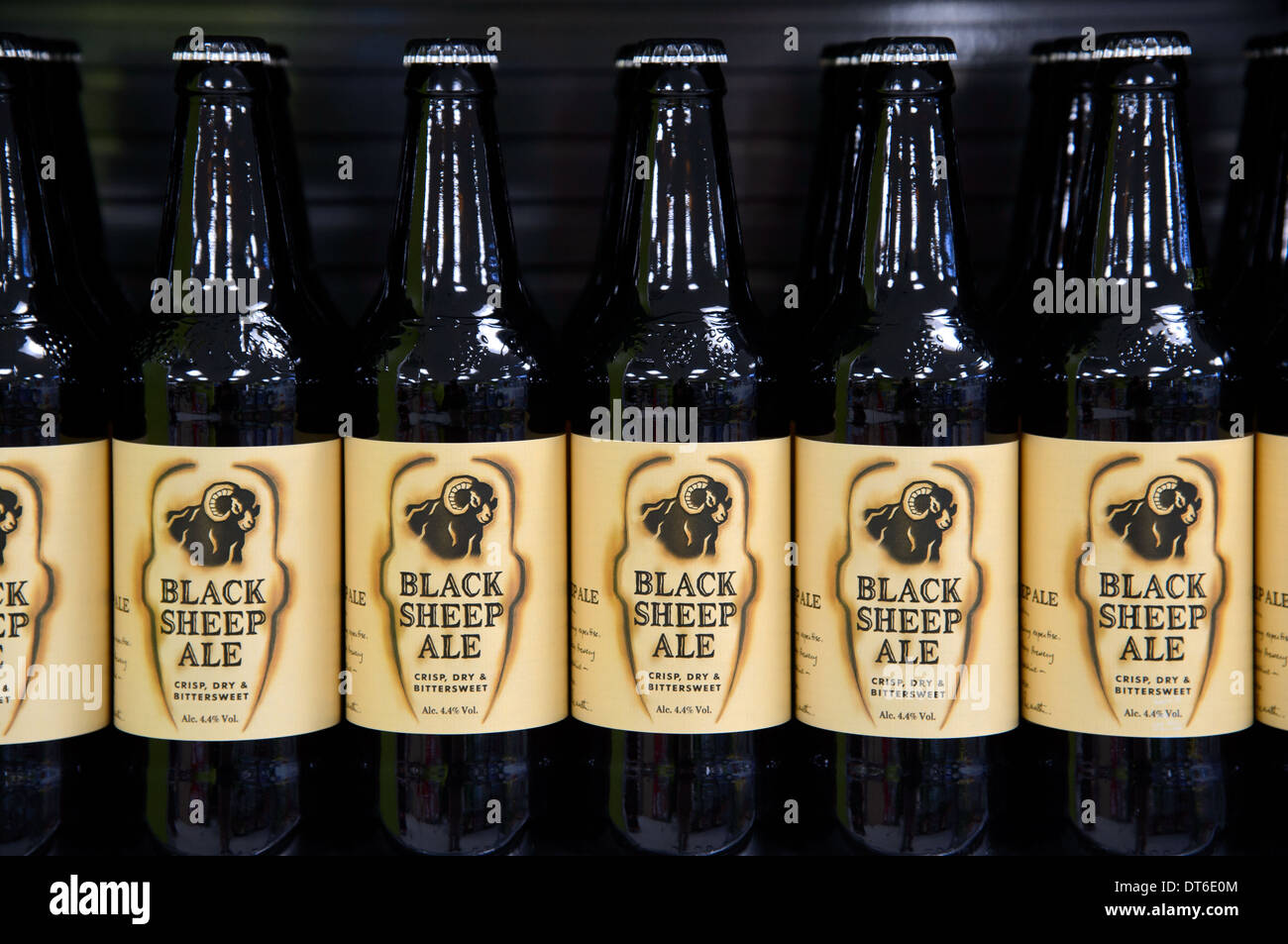 A row of Black Sheep beer bottles on a British supermarket shelf. Stock Photo