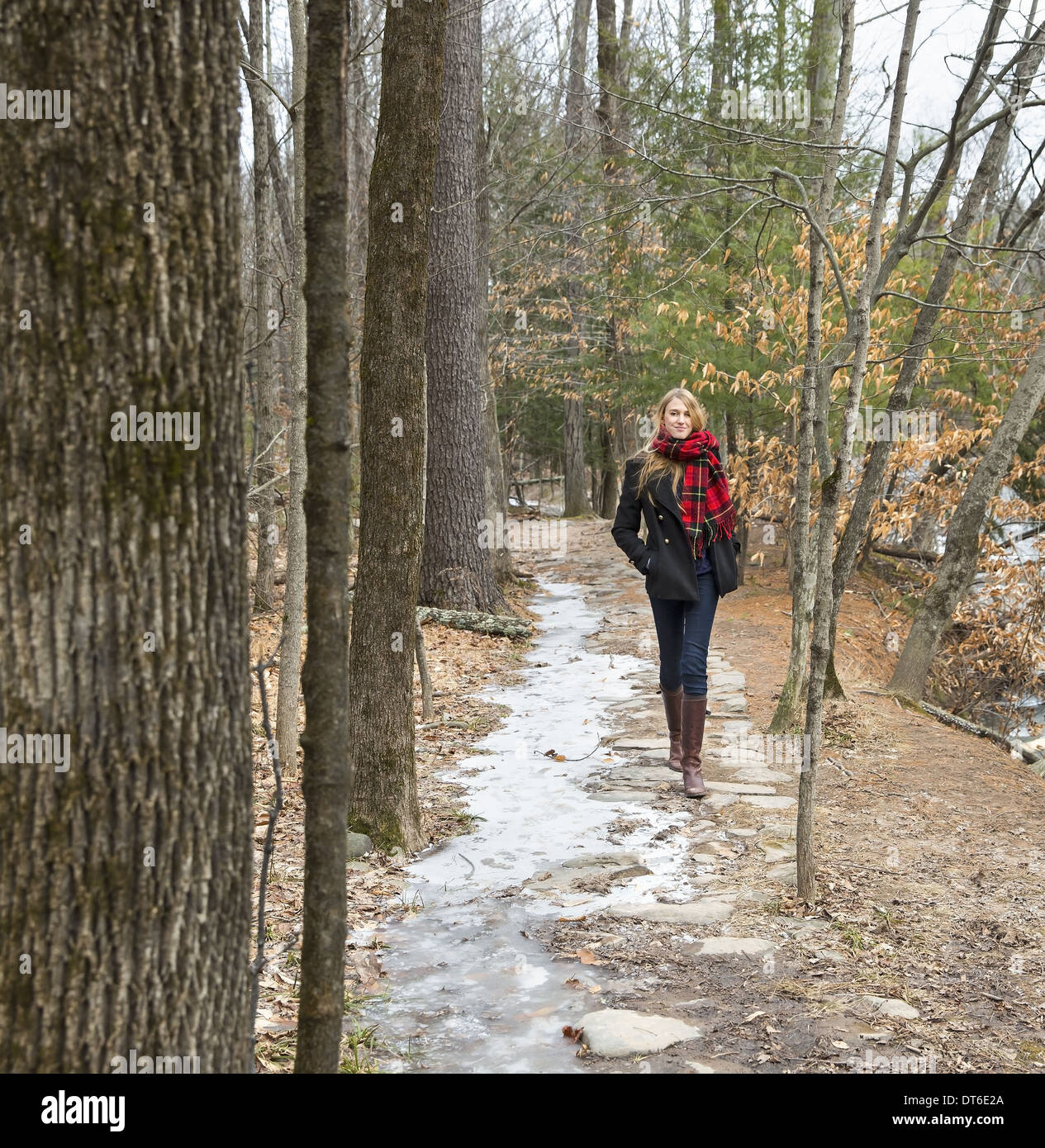 A woman in a winter coat and red scarf walking down a woodland path, in winter. Stock Photo