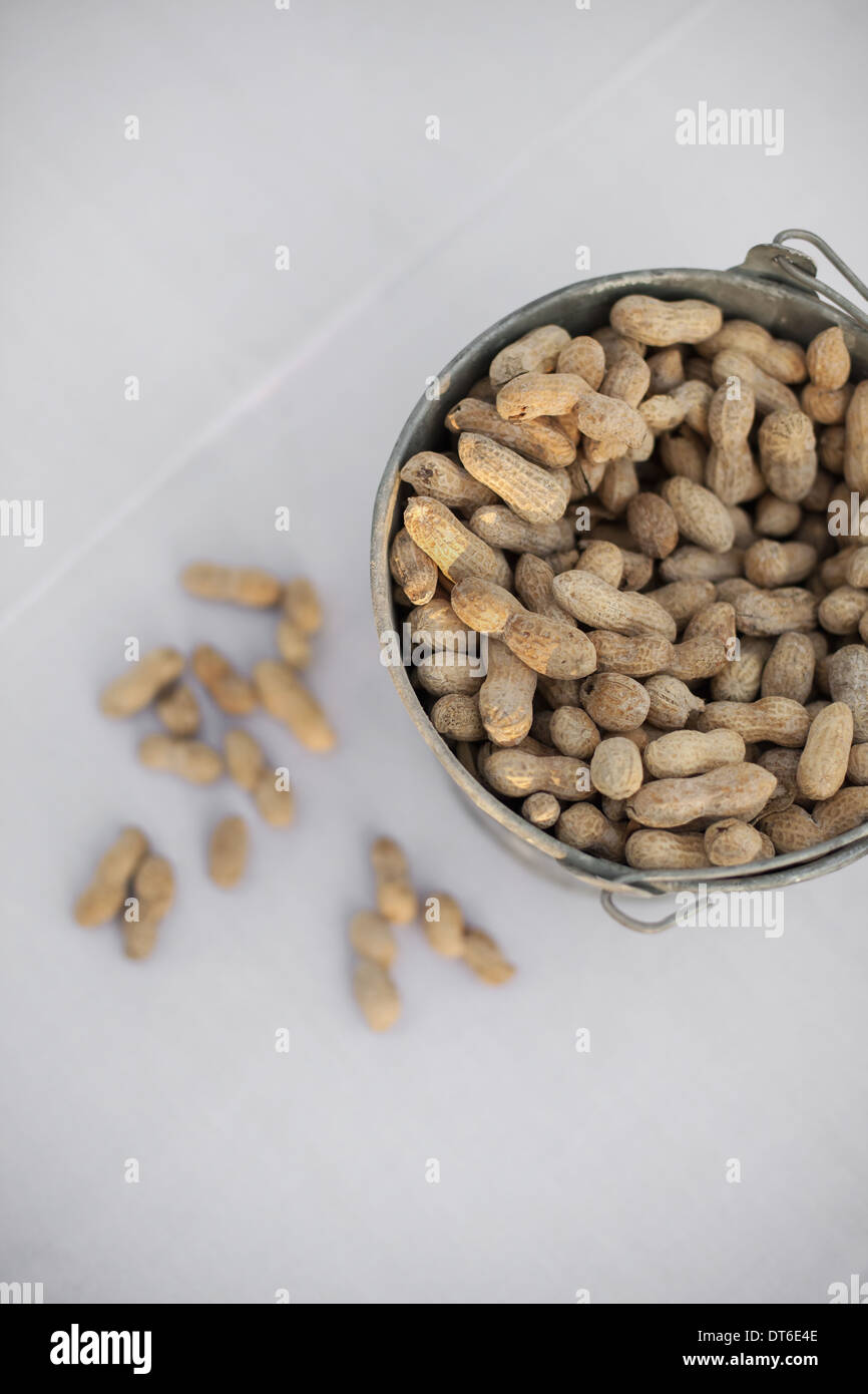 A metal container with a handle. Peanuts with their husks on. Organic nuts, Arachis hypogaea. Shells on. Stock Photo
