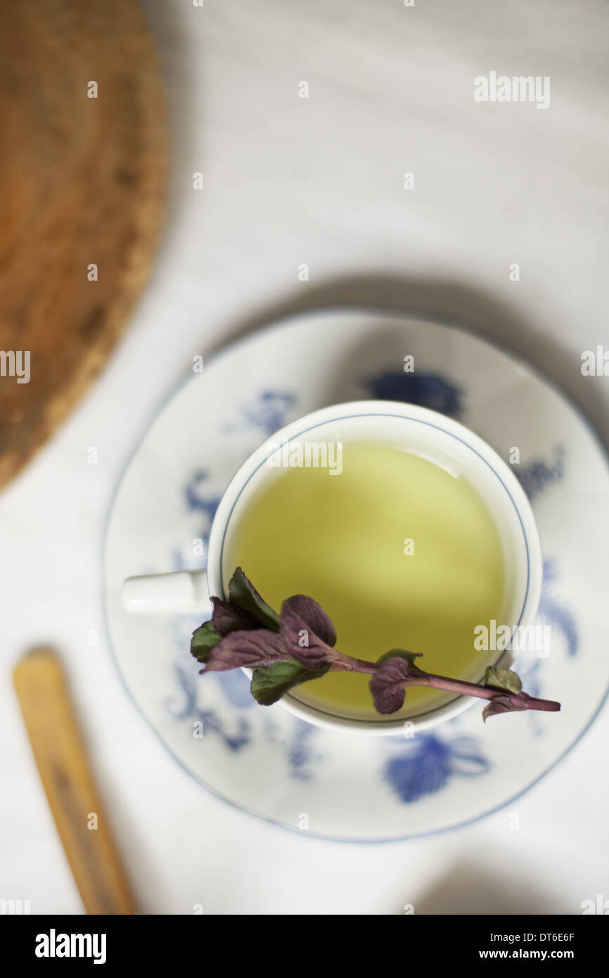 A cup of tea, clear coloured tea in a china cup, with a sprig of