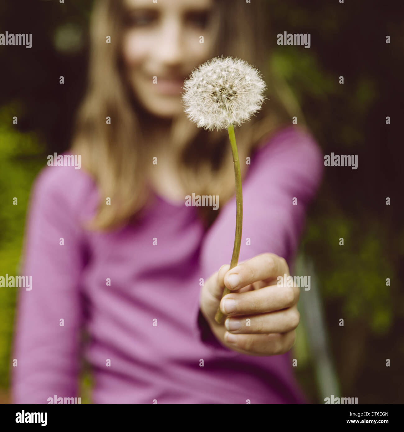 A ten year old girl holding a dandelion clock seedhead on a long stem. Stock Photo