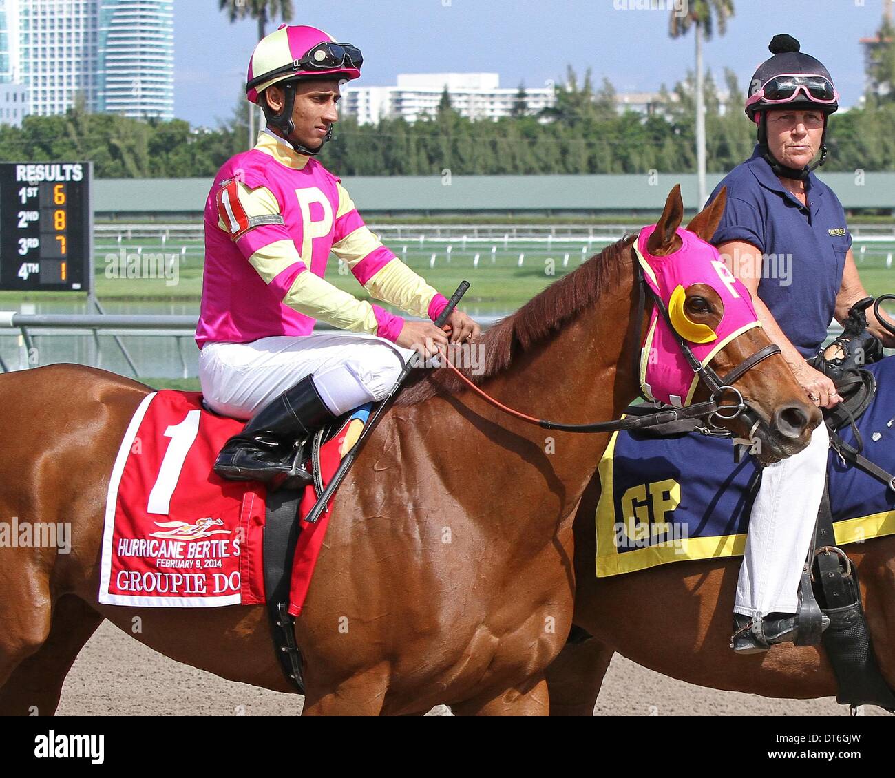 Feb. 9, 2014 - Hallandale Beach, Florida, U.S. - Scenes from Gulfsteam Park.  Groupie Doll wins the Hurricane Bertie Stakes G3 before retirement  at Gulfstream Park.  Hallandale Beach, Florida 02-09-2014 (Credit Image: © Liz Lamont/Eclipse/ZUMAPRESS.com) Stock Photo