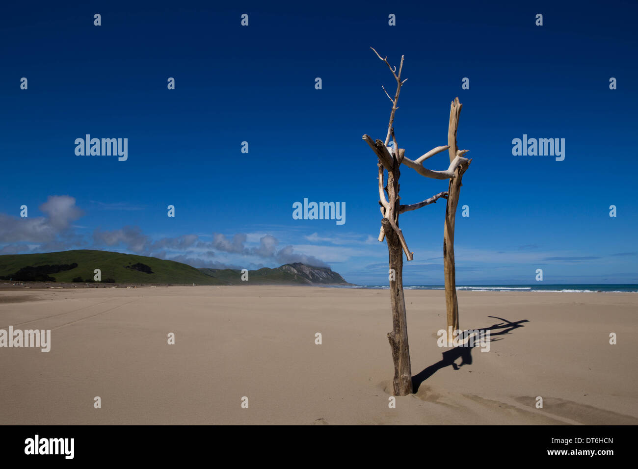 A set of goal posts made from driftwood on an empty beach. Stock Photo