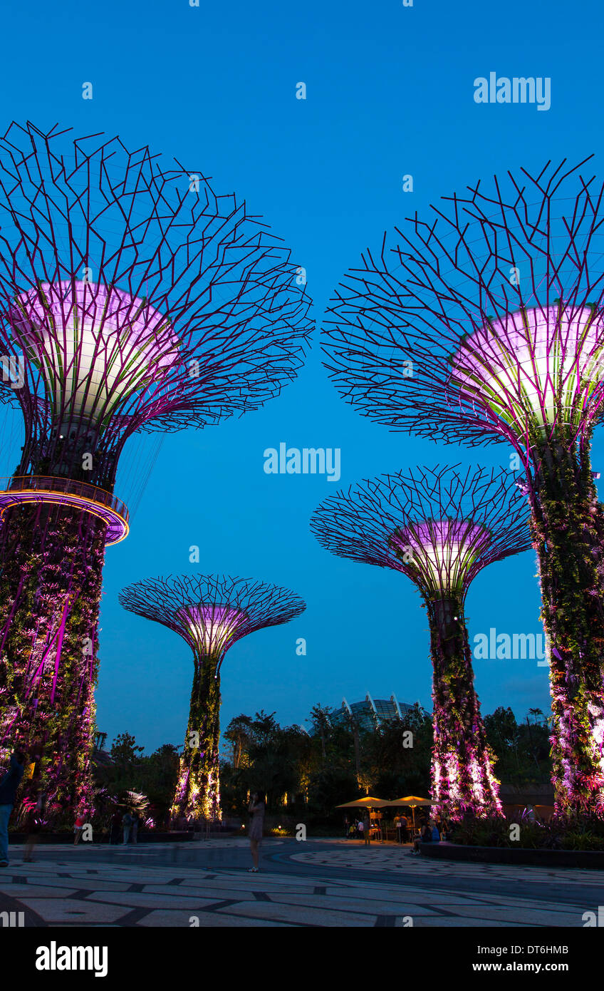 Supertree Groove in Gardens by the Bay, Singapore Stock Photo