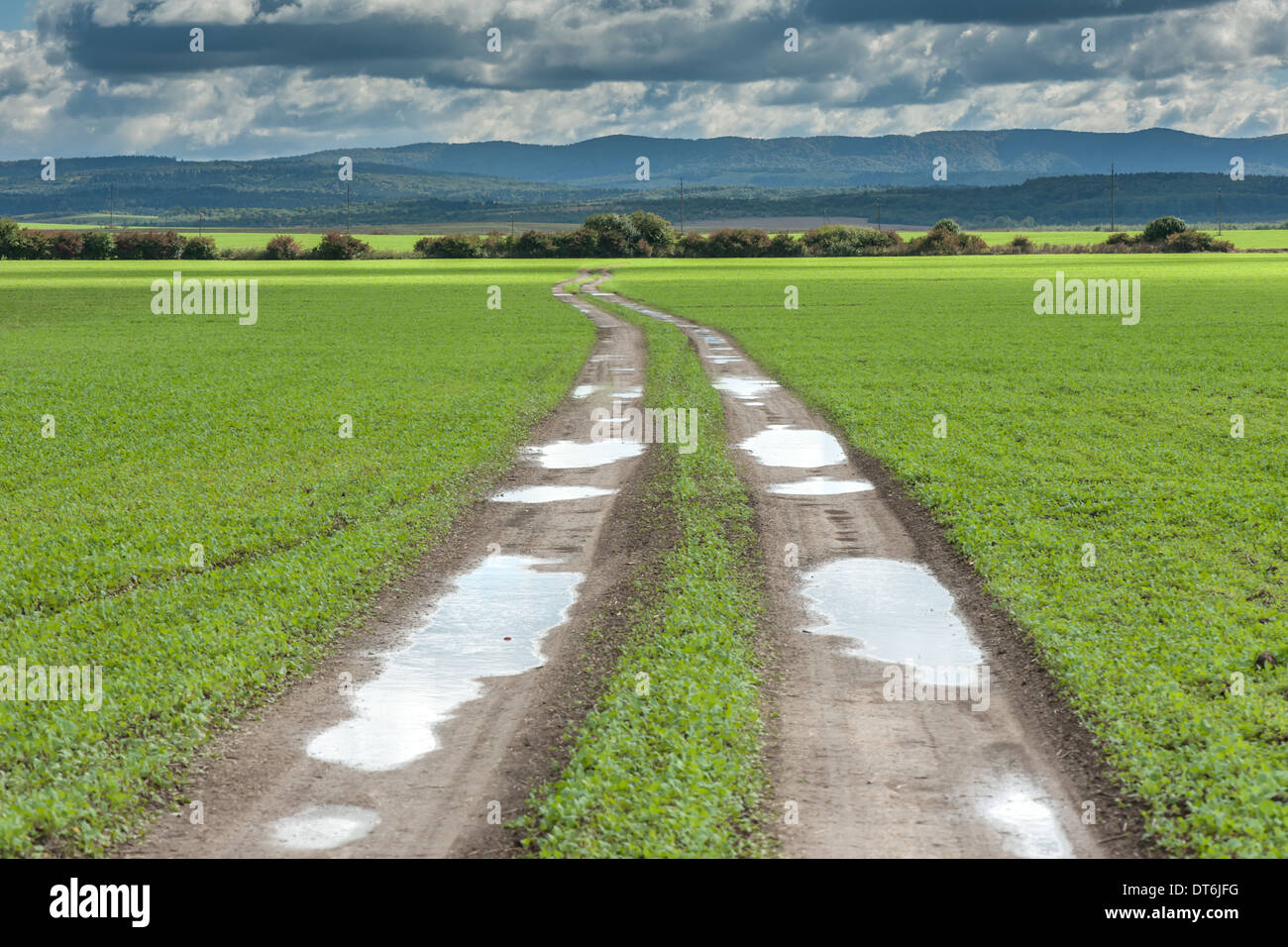 road, field and cloudy sky Stock Photo