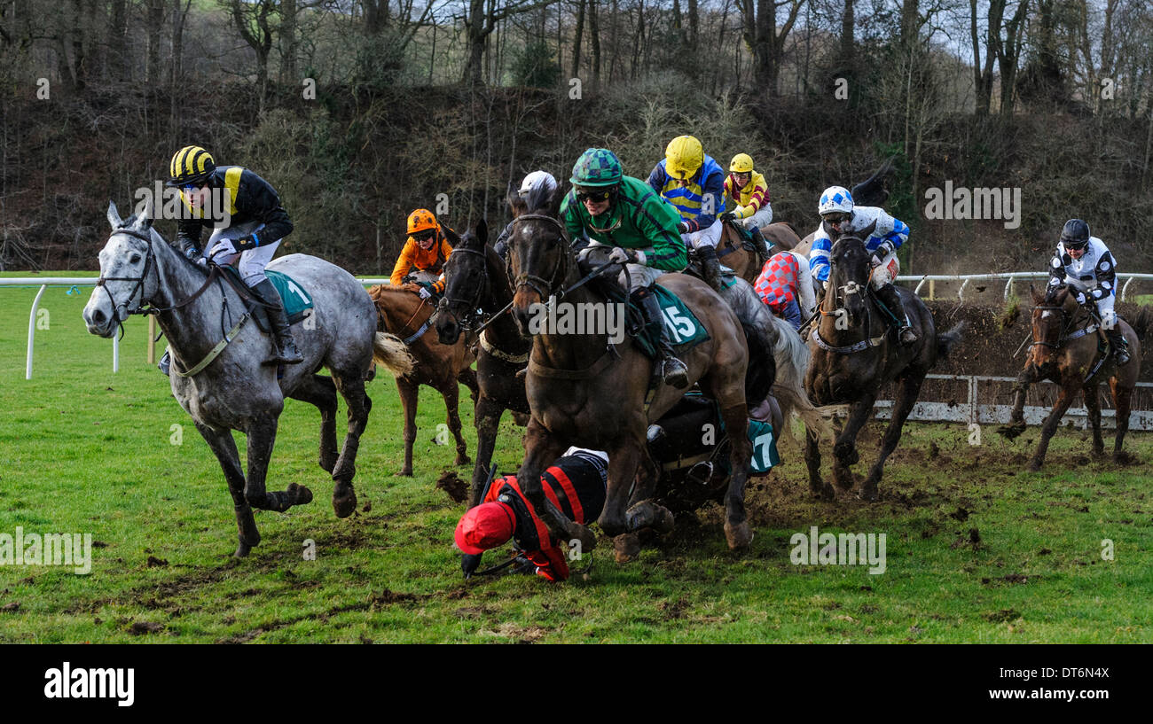A jockey falls from his horse during a Point to Point race Stock Photo