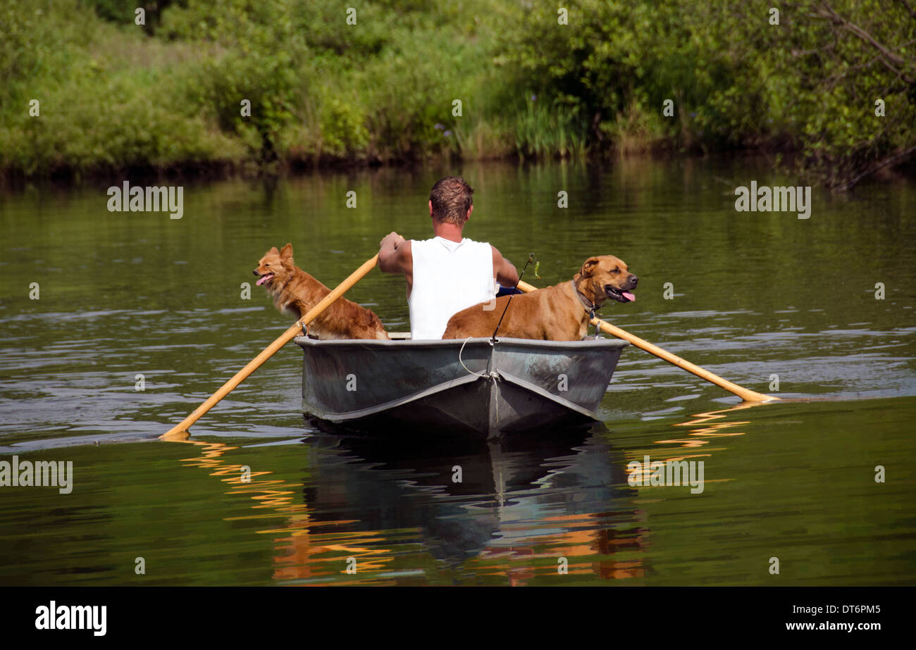 young man in rowboat with two dogs Stock Photo