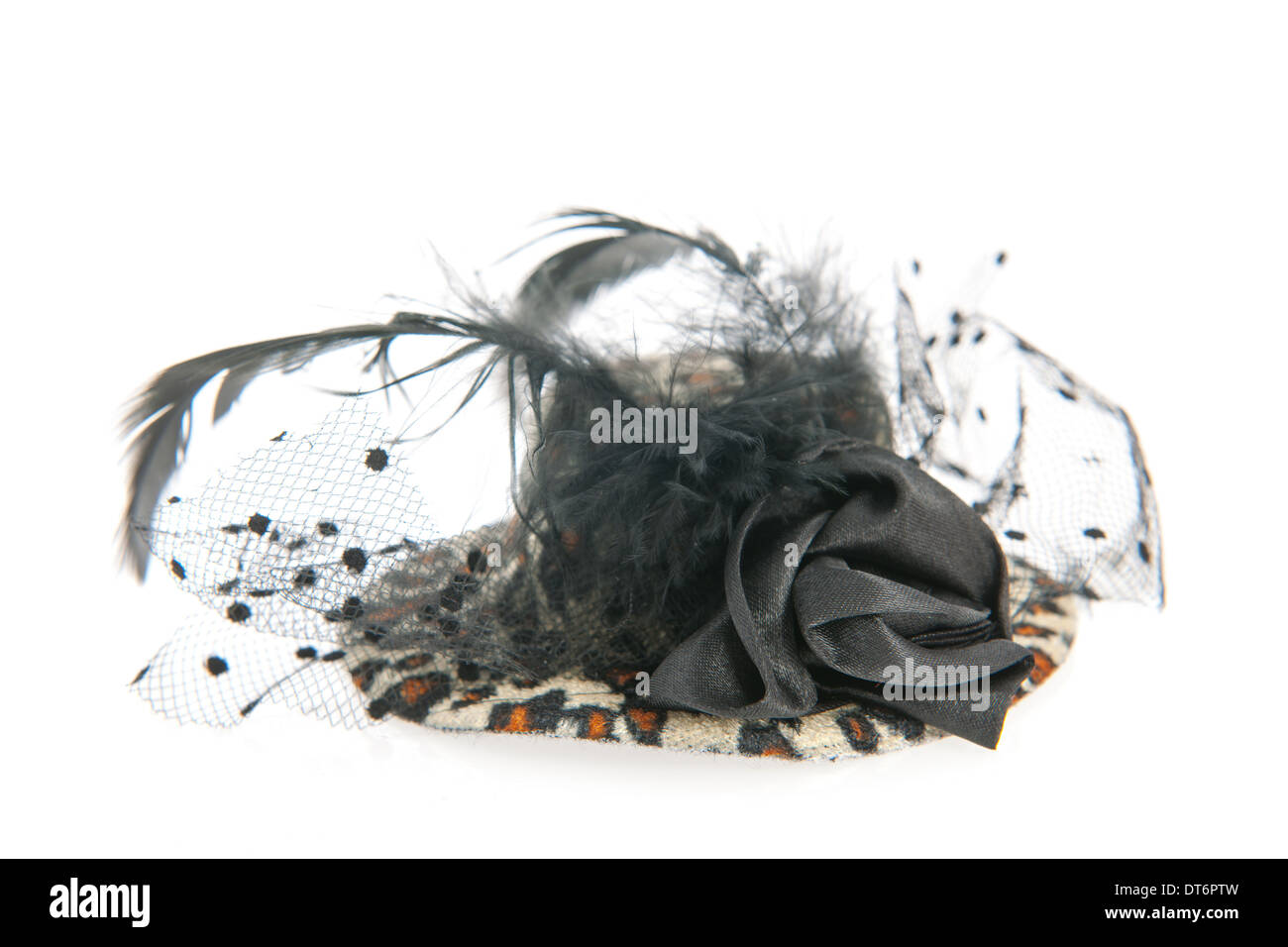 Hat veil and feathers hi-res stock photography and images - Alamy