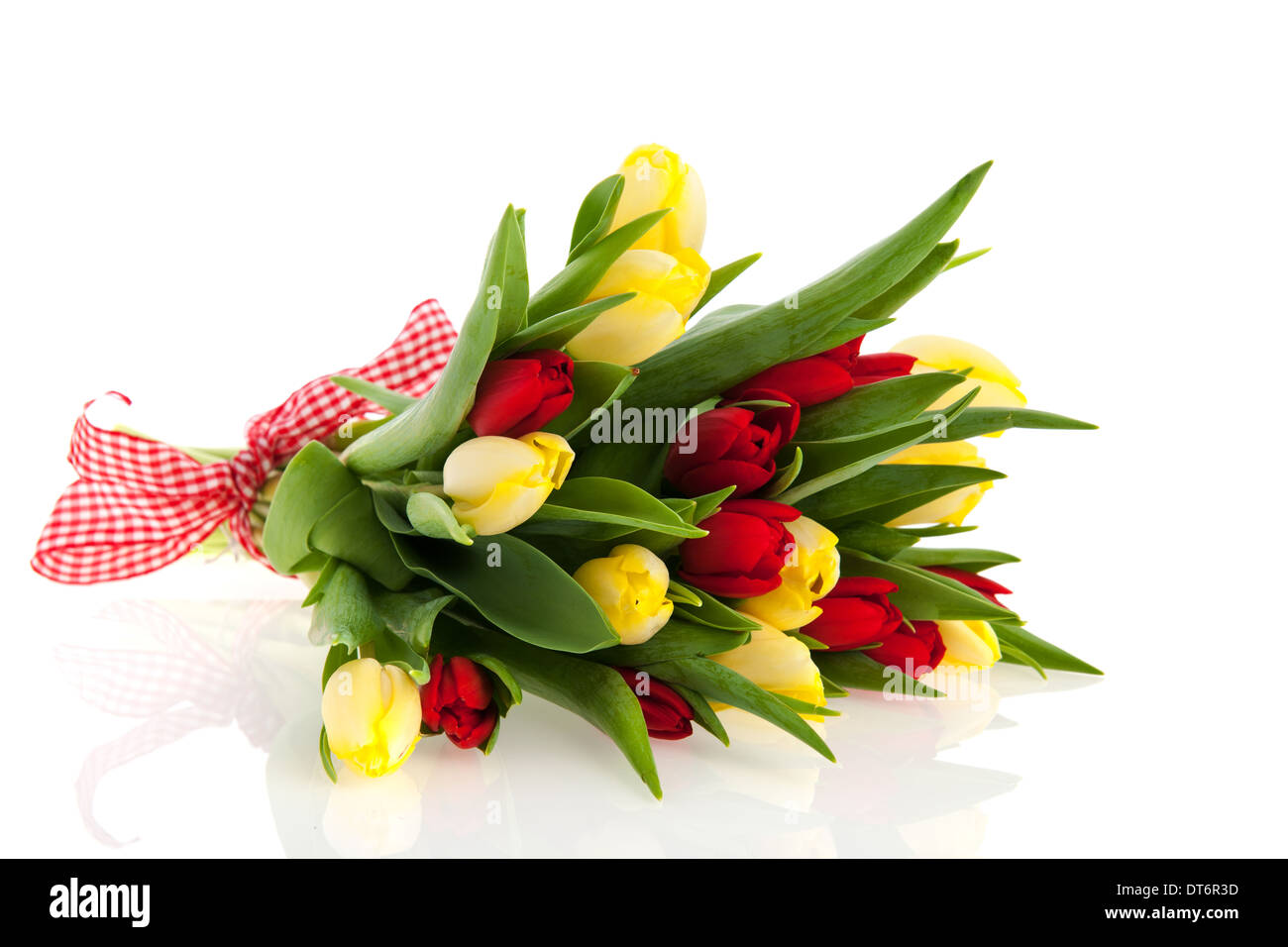 Bouquet yellow tulips ribbon hi-res stock photography and images - Alamy